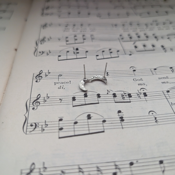 Elegant Silver Crescent Moon Earrings - Picture 7 of 7